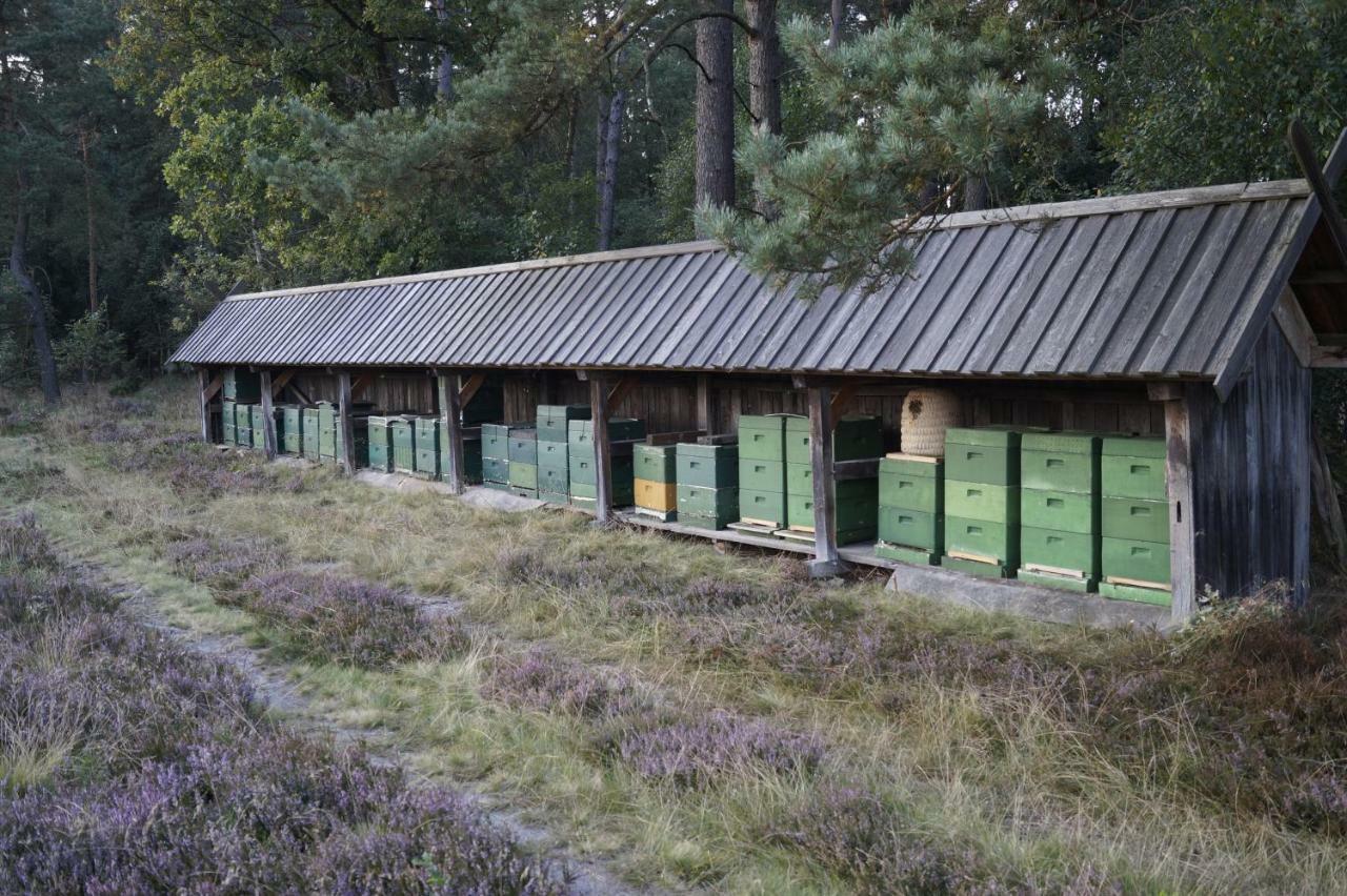 Ferienhaus Wahlers Bispingen Exteriör bild