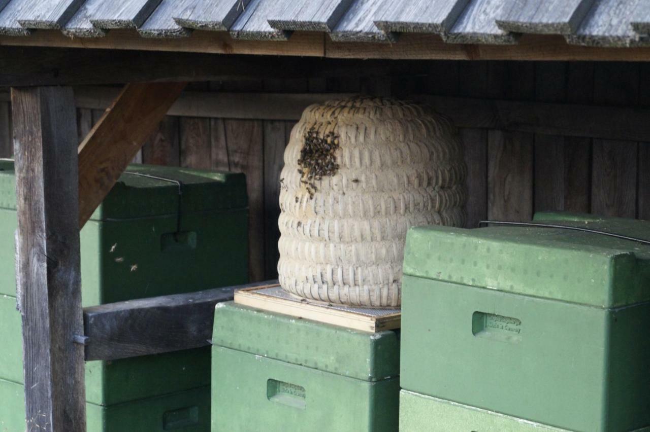 Ferienhaus Wahlers Bispingen Exteriör bild