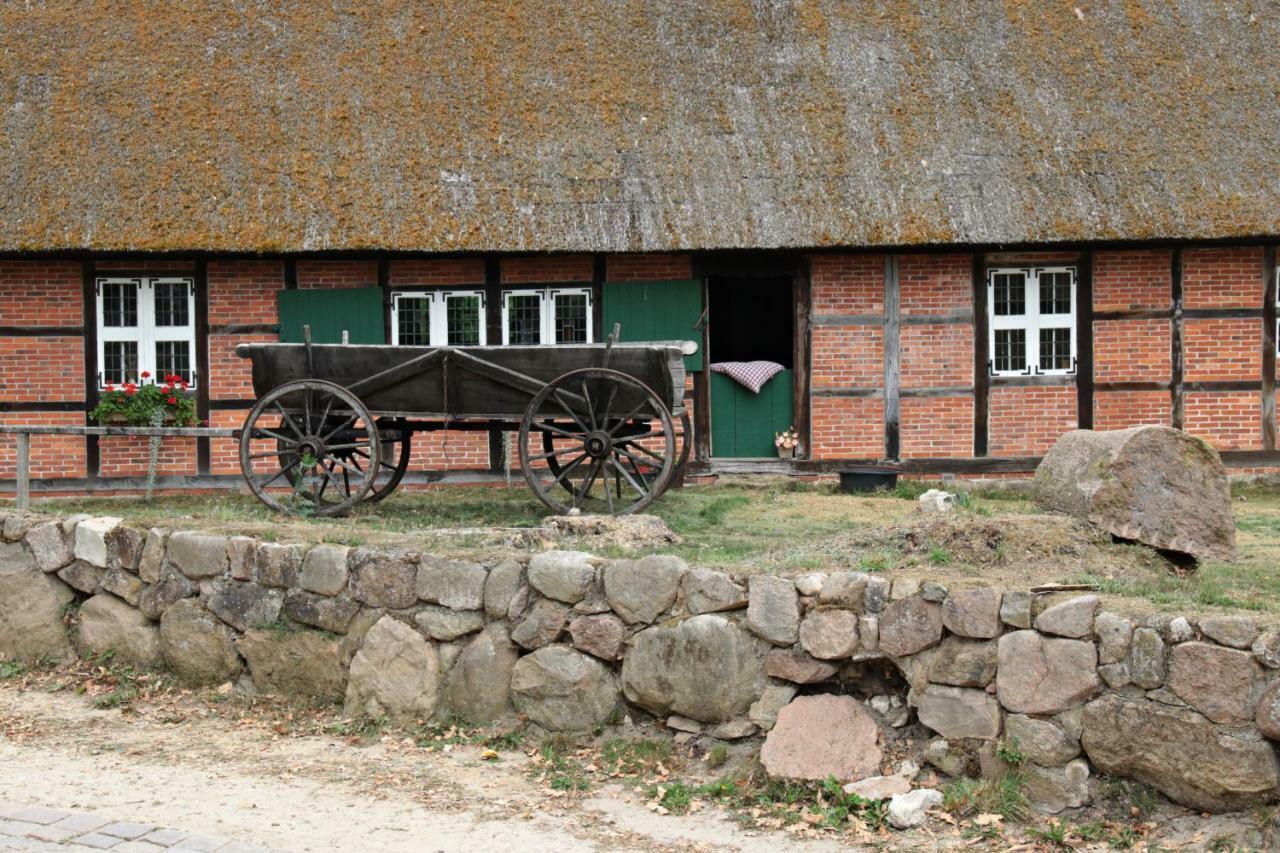 Ferienhaus Wahlers Bispingen Exteriör bild