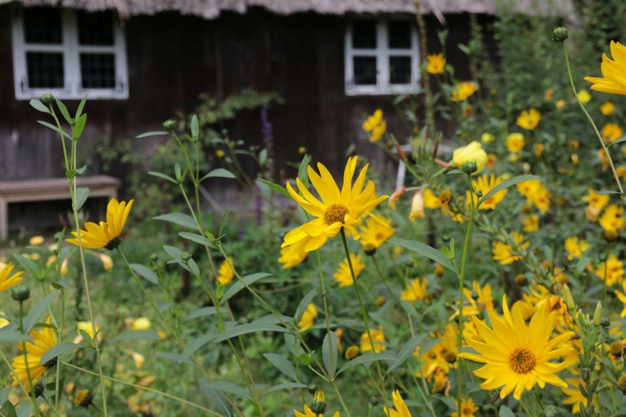 Ferienhaus Wahlers Bispingen Exteriör bild